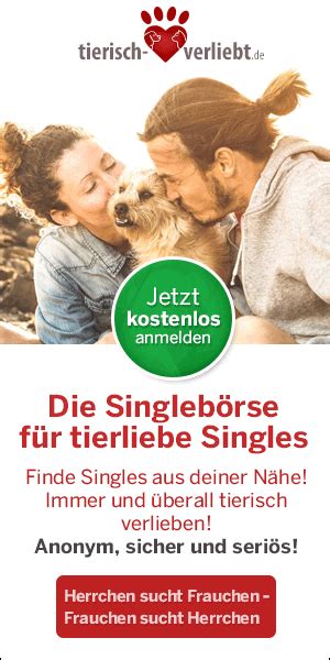 hund ficken|So funktioniert Sex bei Hunden 